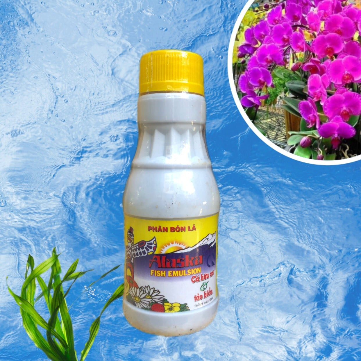 [HCM]PHÂN CÁ ALASKA – PHÂN CÁ HỮU CƠ VÀ TẢO BIỂN chai 100ml