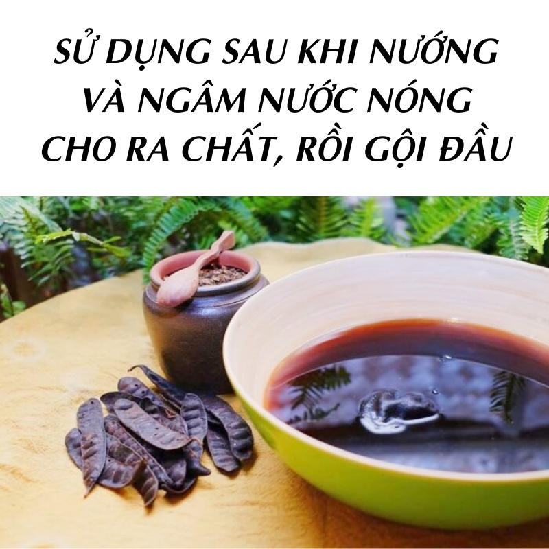 Trái bồ kết khô túi 500gram - Tấn Phát - Hàng công ty chất lượng cao