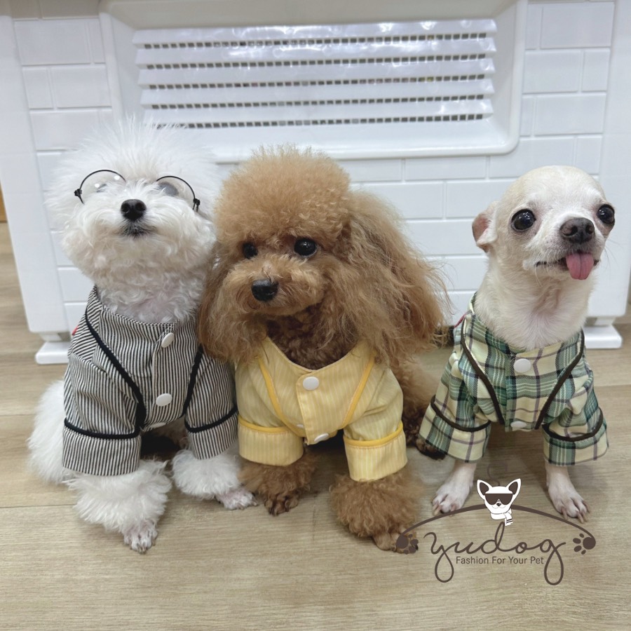 Pijama mặc cho thú cưng chó mèo yudog
