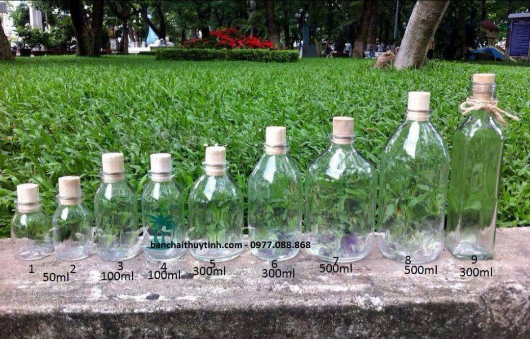 Combo 5, 9,10 lọ thủy tinh TRANG TRÍ 50ML 100ML 300ML 500ML  nút gỗ