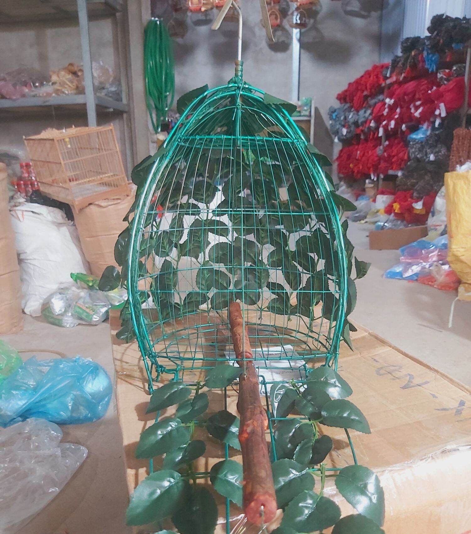 lồng bẫy cu gáy