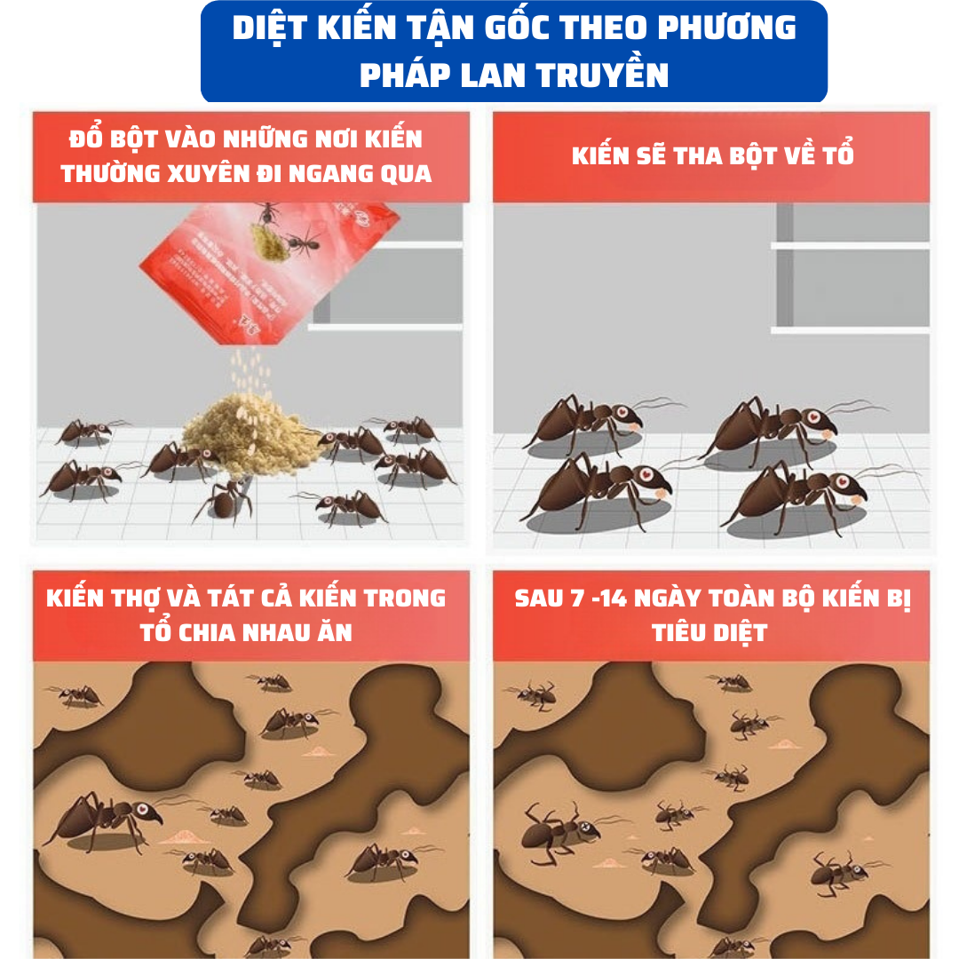 Thuốc diệt kiến tận gốc xử lý được kiến đen , kiến vàng , kiến đỏ diệt tận gốc theo dạng lan truyền