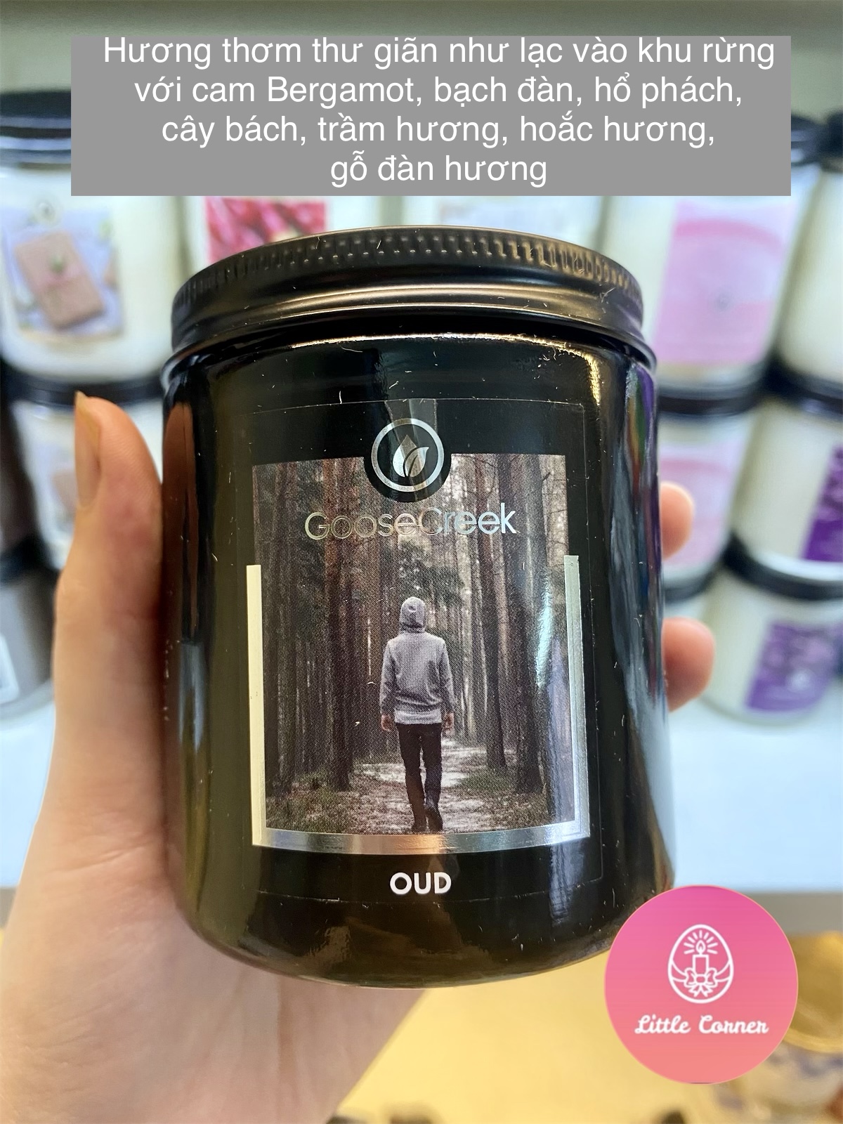 Nến thơm 1 bấc GOOSE CREEK 198g - Men Collection