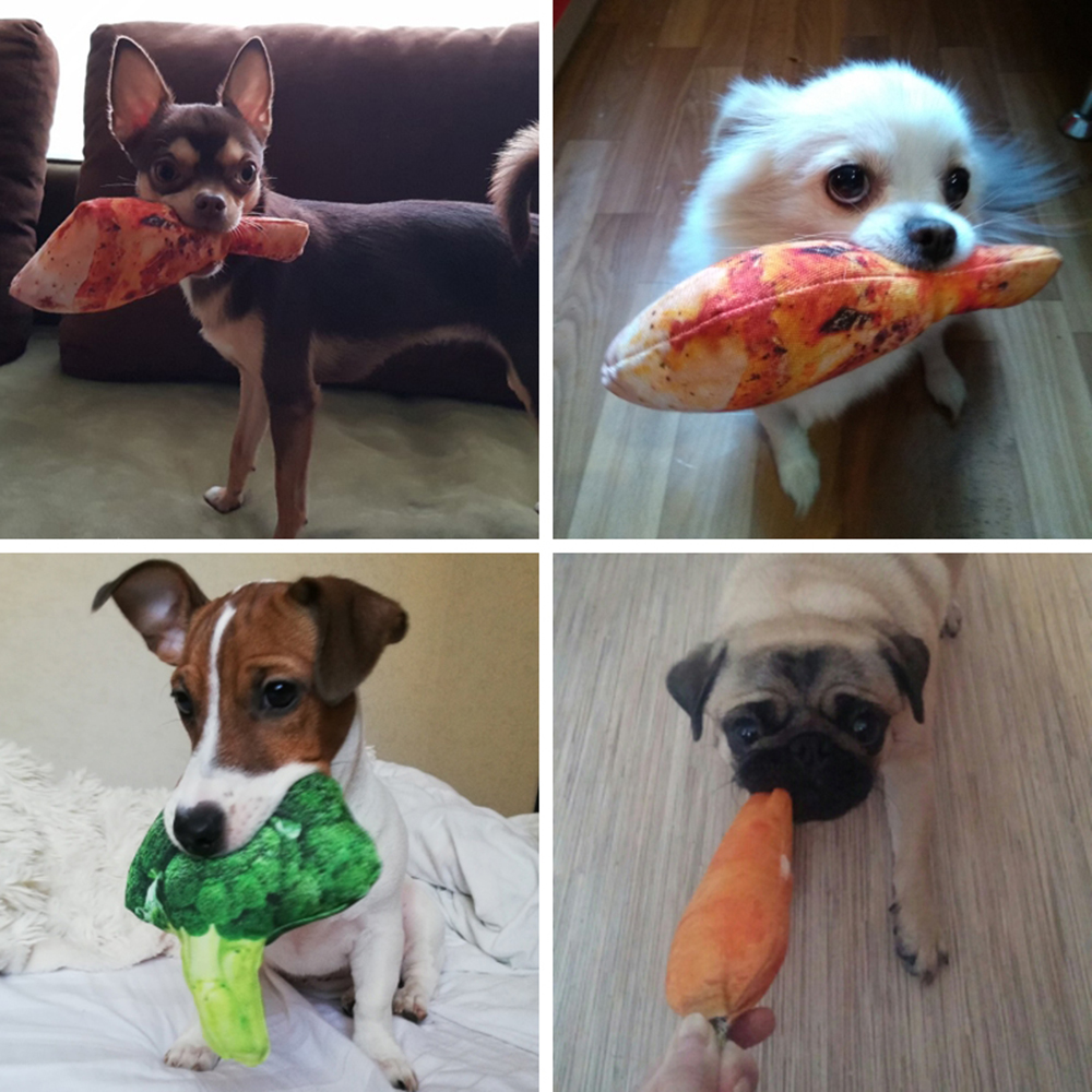 pet play dog toys