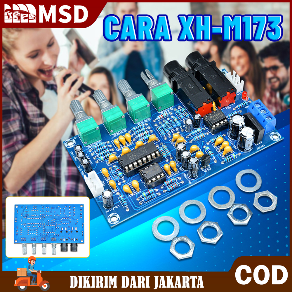 (Dikirim Dari Jakarta) 1 PT2399 NE5532 Microphone Reverb Echo PreAmp