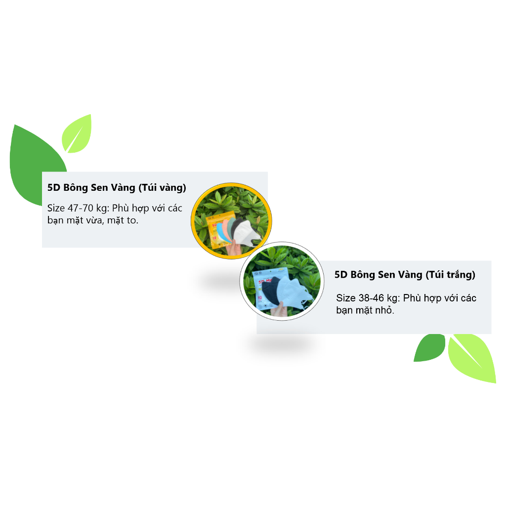 Thùng 400c Khẩu Trang 5D Bông Sen Vàng