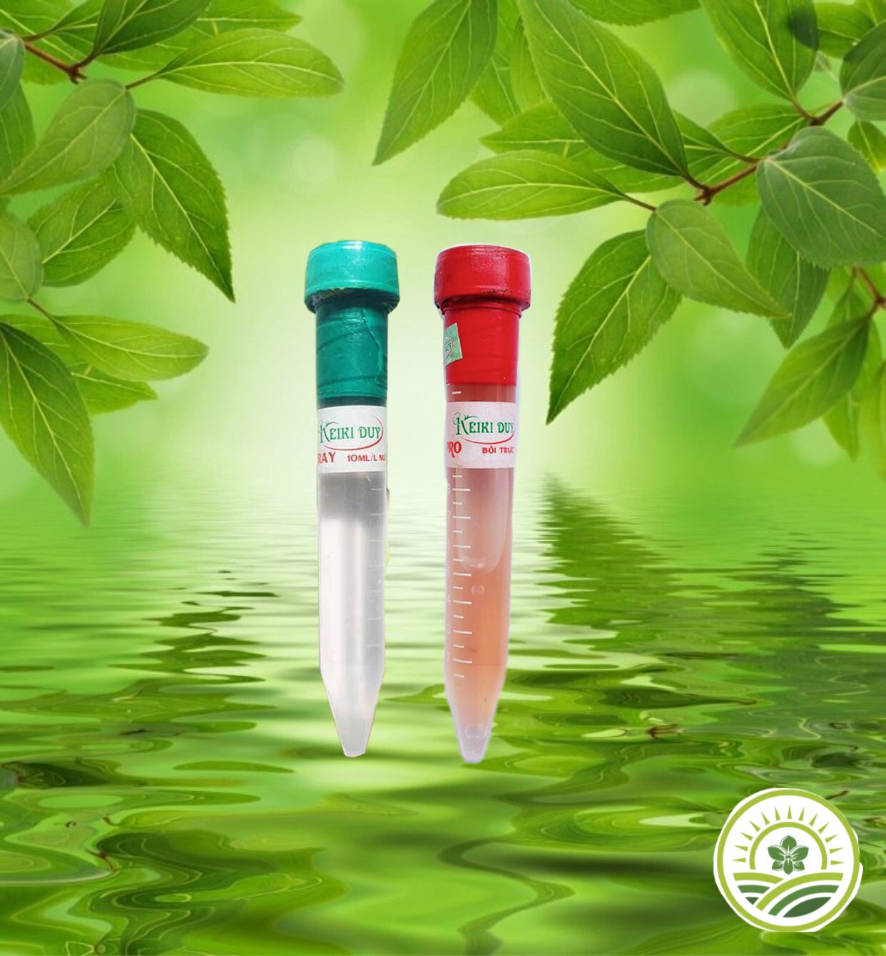 Combo kích ki cho Phong lan 7 sản phẩm