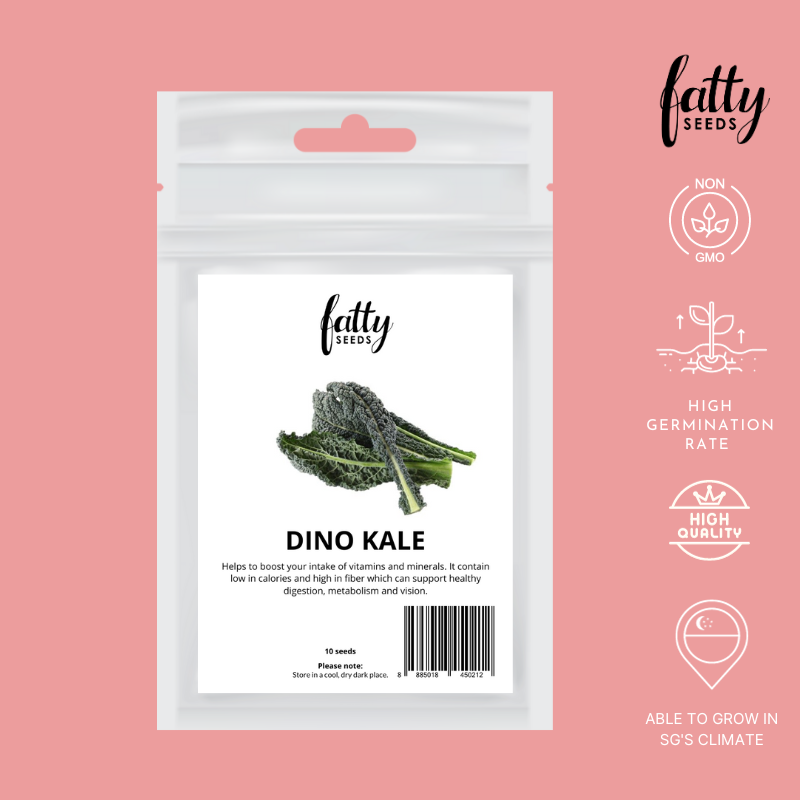 Fatty Seeds Dino Kale | Lazada Singapore