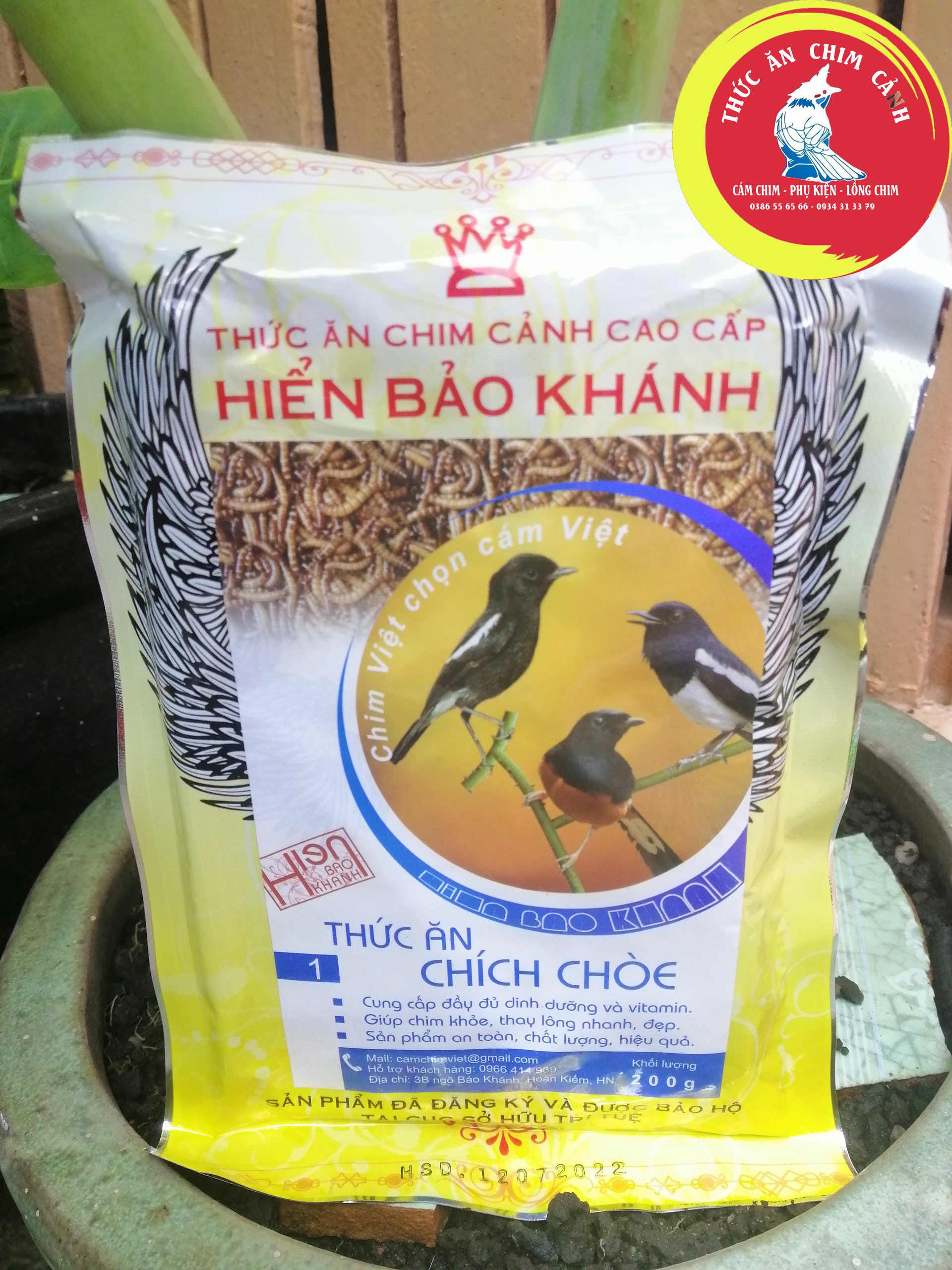 CÁM CHÒE THAN, LỬA ĐẤT HIỂN BẢO KHÁNH SỐ 2, CÁM CĂNG LỬA CHÍCH CHÒE