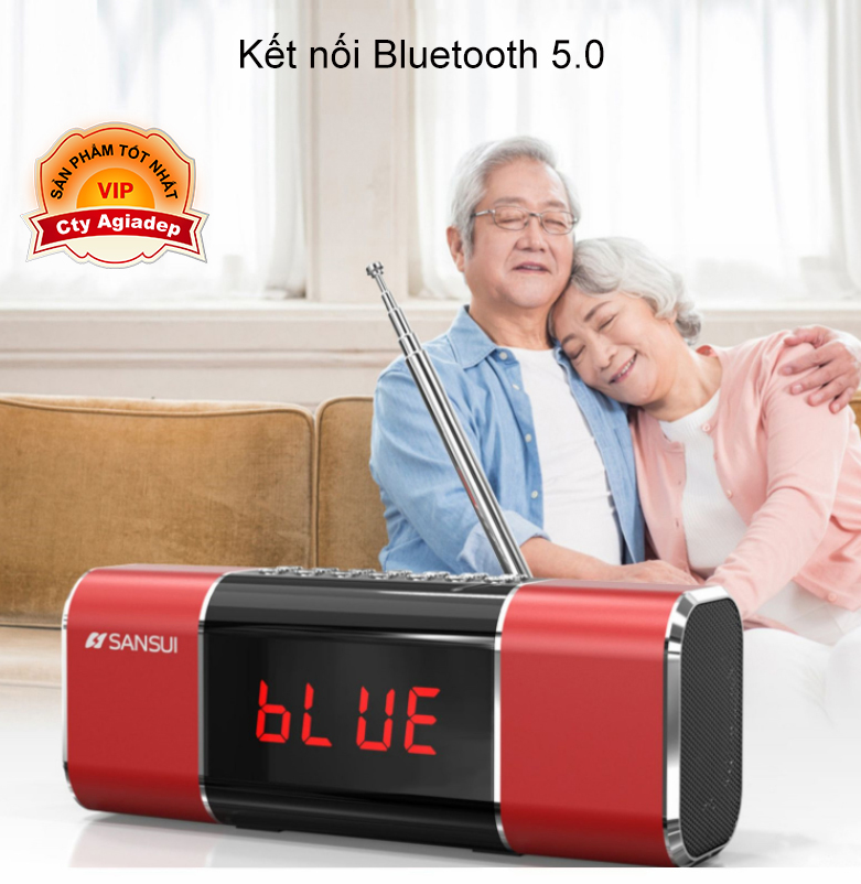 Loa bluetooth hàng hiệu SANSUI Nhật Bản D11
