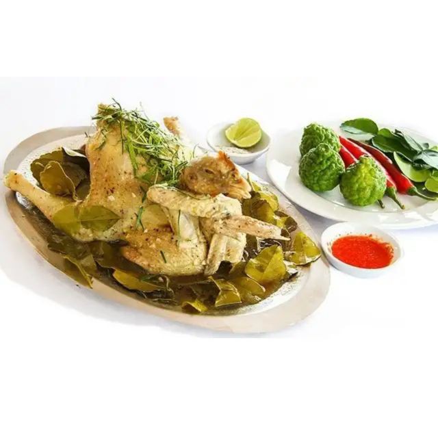 Cây Chúc (chanh thái) - Cây chanh ăn lá ( chanh hấp gà)