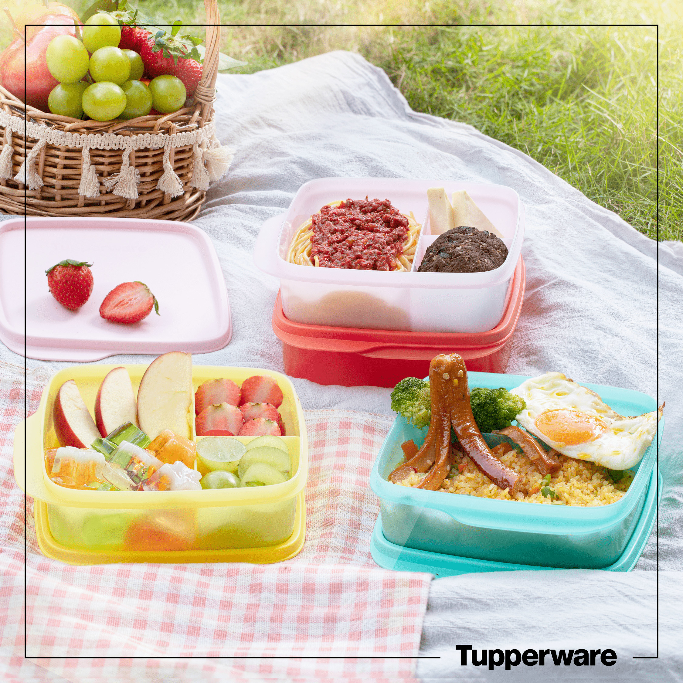 Hộp cơm chia ngăn LollyTup - Tupperware