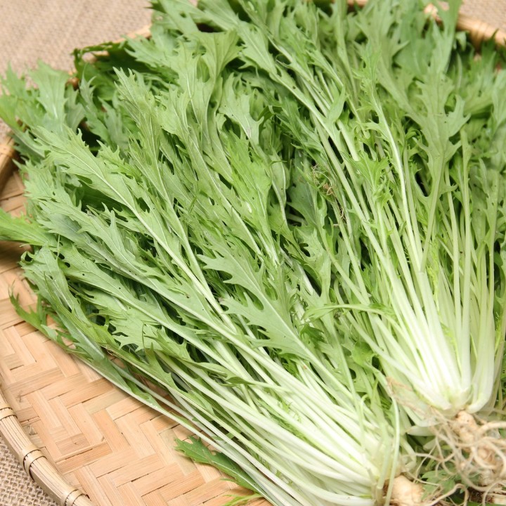 Hạt giống Cải Mizuna Nhật gói 5gr