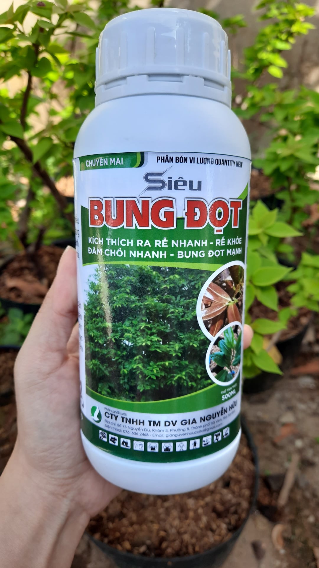 Phân bón siêu bung đọt