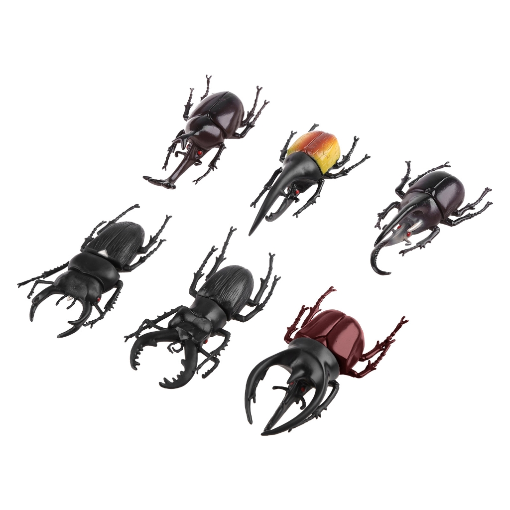 6 Pieces Scientific Realistic Beetle Toy for Kids&Adults Trick Toy with Soft Texture Relieve Stress Scientific Gift Set