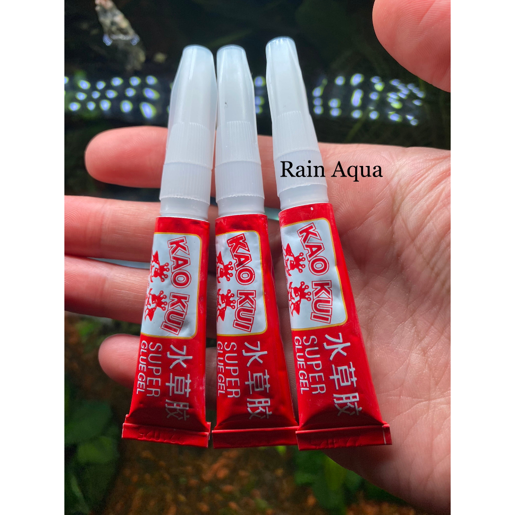 Keo Dán Rêu | Keo dán cây thuỷ sinh