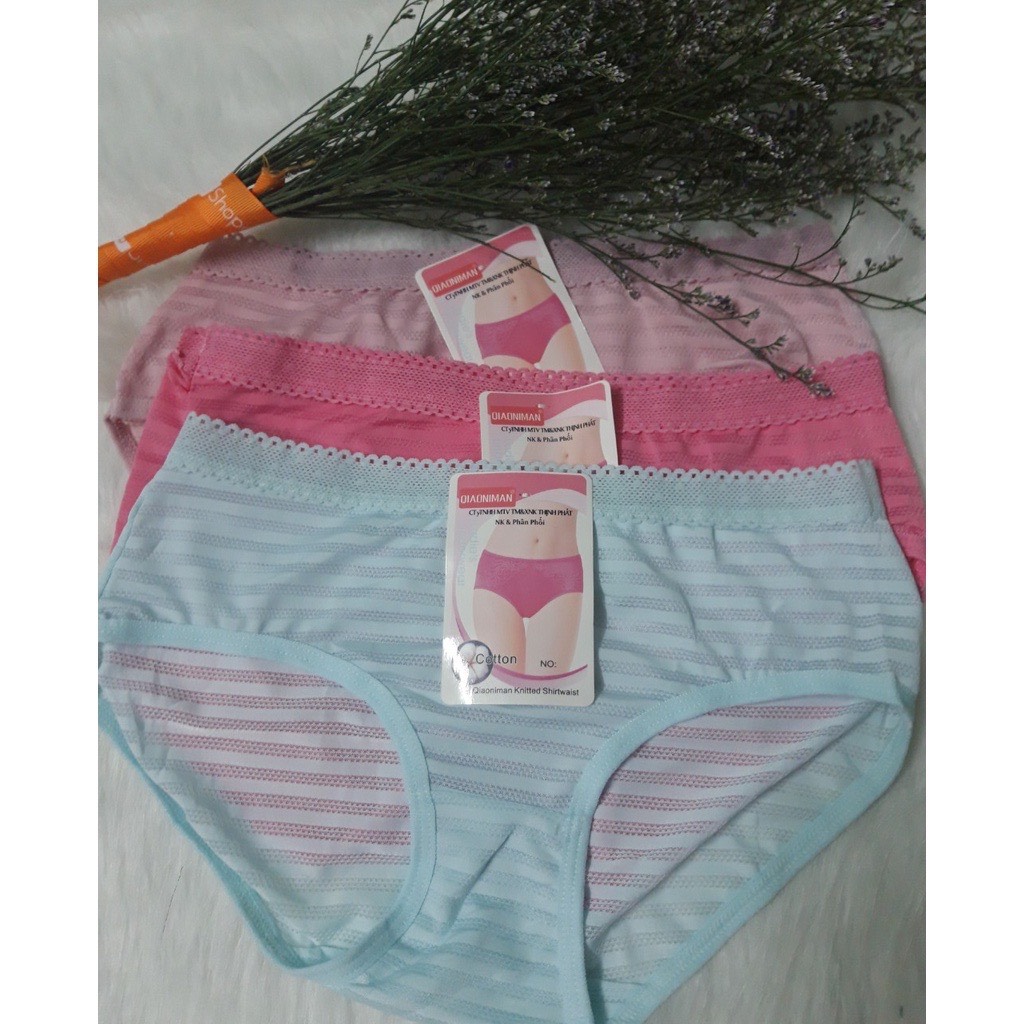 Bộ 10 quần lót nữ cotton lạnh sọc ,Quần lót nữ- Combo 10 Quần Lót thái 829 mềm mại,mịn màng,co giãn tốt