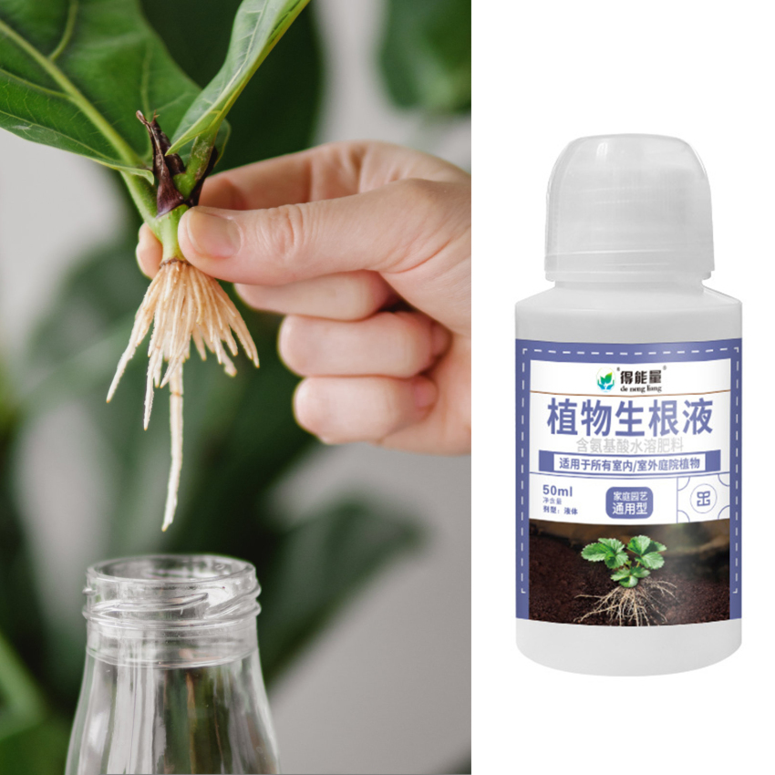 Fast Rooting Stimulator Plant Rapid Rooting Agent Root Stimulator For Plants Root Supplement For Houseplant Garden Supplies