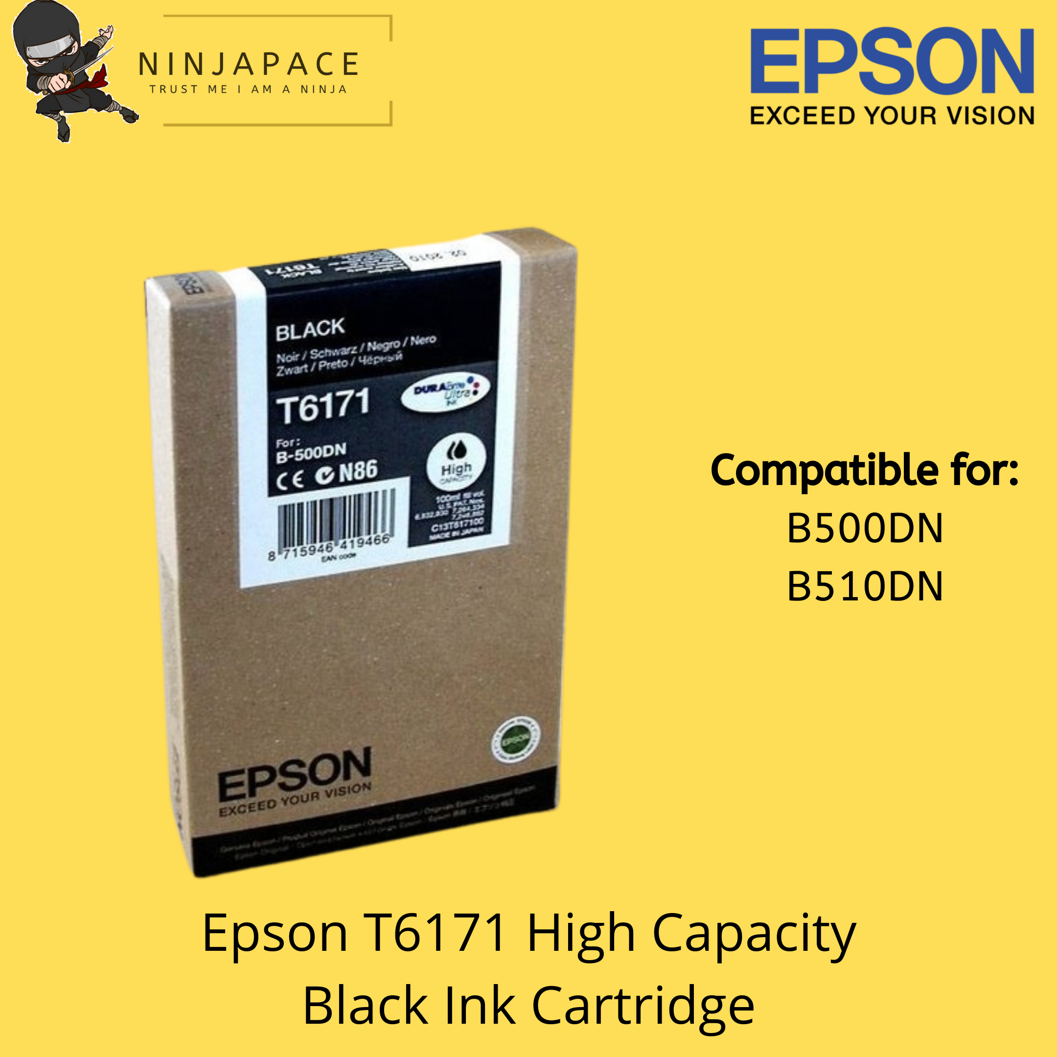 Epson T6171 High Capacity Black Ink 