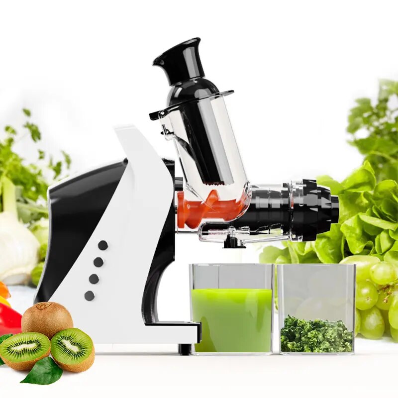 Slow Juicer With 7Stage Screw Masticating Original Vegetables Juicer