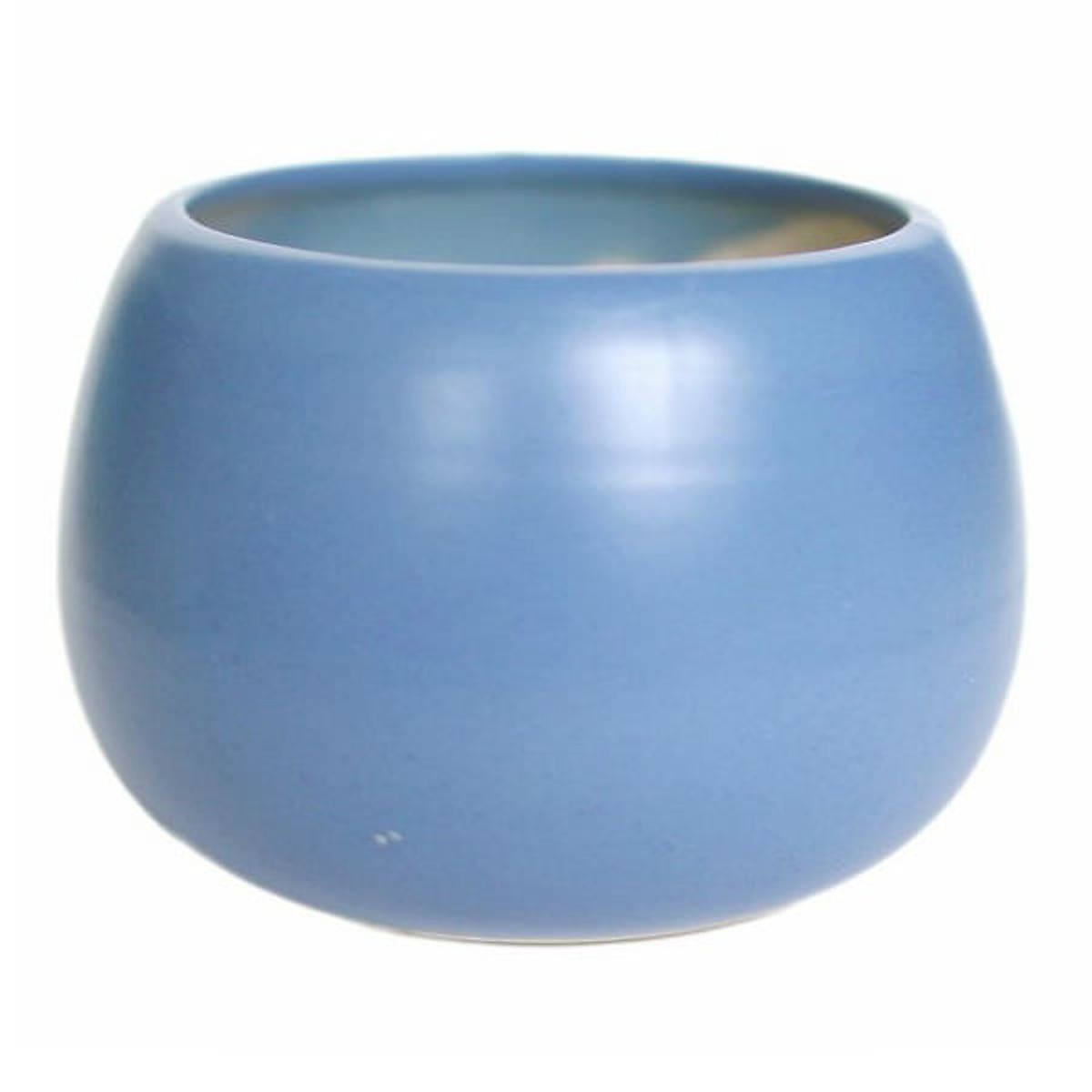 chậu sứ mini hình hạt dẻ
