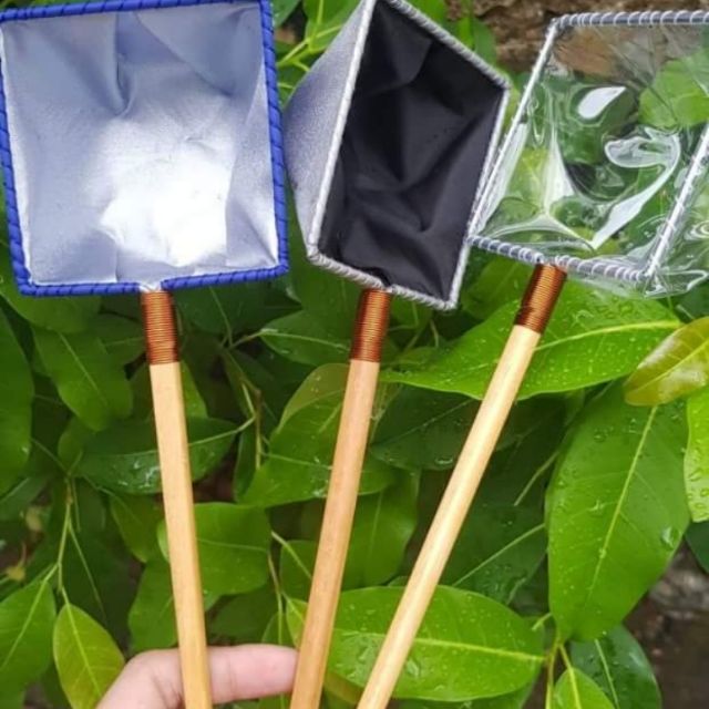 Vợt nước, vợt show vớt cá bảy màu, betta, cá cảnh