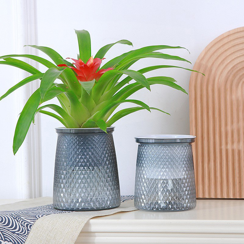 Self%20Watering%20Plant%20Pot%20Transparent%20Plastic%20Flower%20Vase%20Double-layer%20Automatic%20-%20Image%203