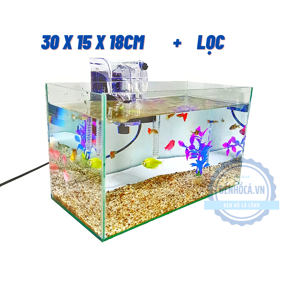 Hồ cá mini [30cm x 15cm x 18cm] để bàn tặng phụ kiện