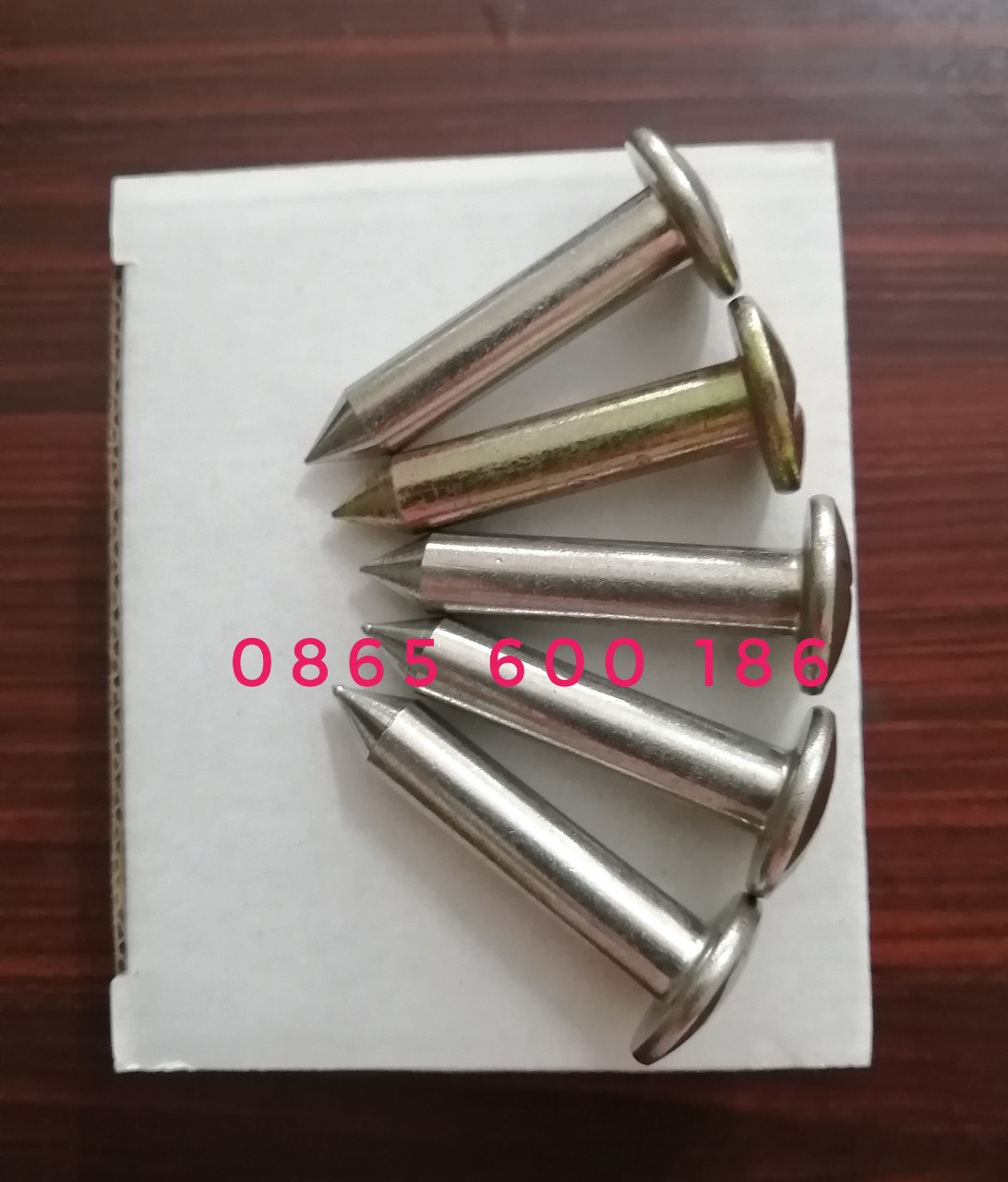 Đinh mốc trắc địa - Combo 05 cái đinh mốc 5cm