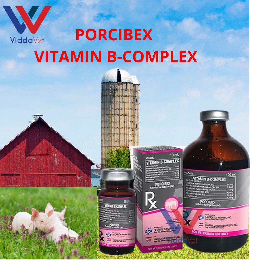 10ml 100ml for Pigs or Swine Vitamin + Liver Extract Vitamin