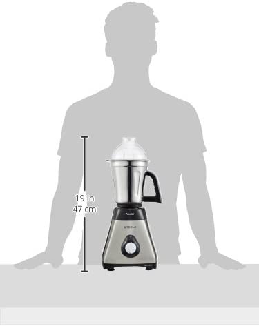 preethi mixer mg 208