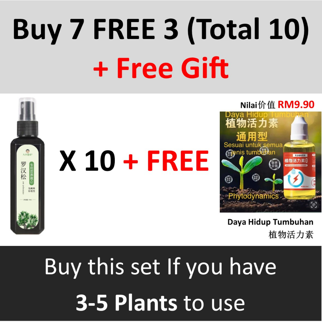 Podocarpus Spray Podocarpus Fertilizer 100ml 罗汉松喷剂 罗汉松营养液 罗汉松专用肥 Lazada