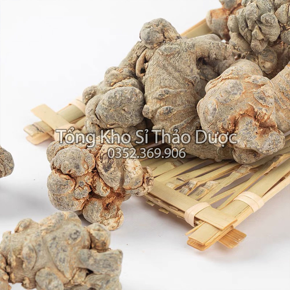Củ tam thất bắc 100g (Hàng loại 1, 5 củ/lạng, khô, sạch)