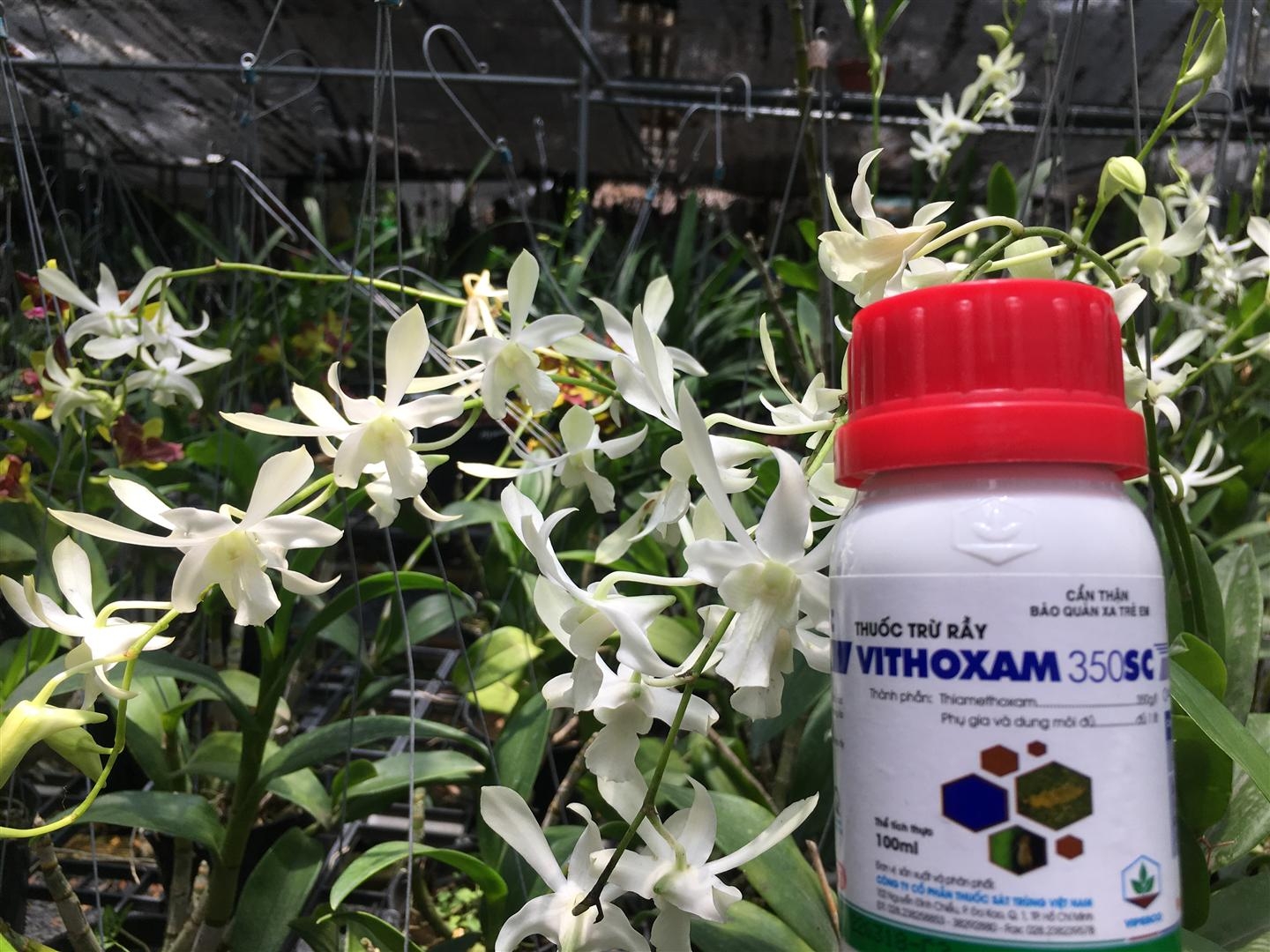 Thuốc trừ rầy VITHOXAM 350SC (MSP122570) -Mai Huy