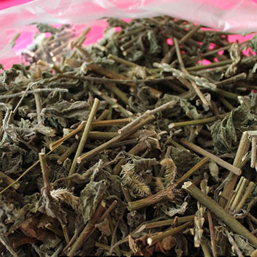 [Hàng mới về] Cây cỏ xước sấy khô 1kg - tấn phát - Hỗ trợ giảm sưng đau các khớp