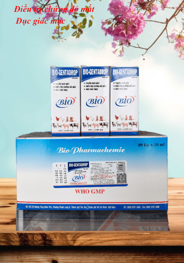 Combo 3 lọ Bio Gentadrop thuốc nhỏ mắt thú cưng