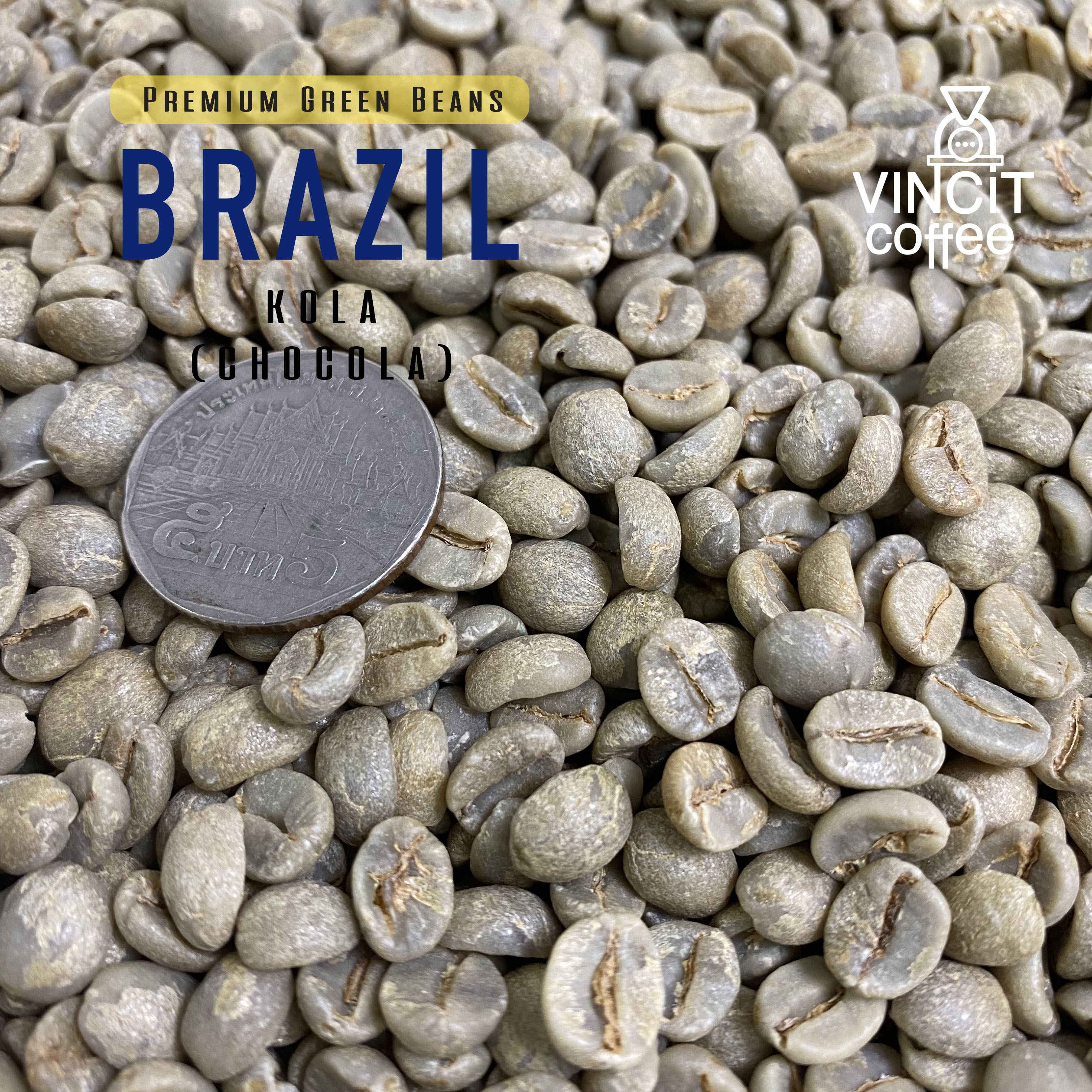 สารกาแฟ Brazil Chocola Premium เมล็ดกาแฟดิบ บราซิลช็อกโกล่า Green bean