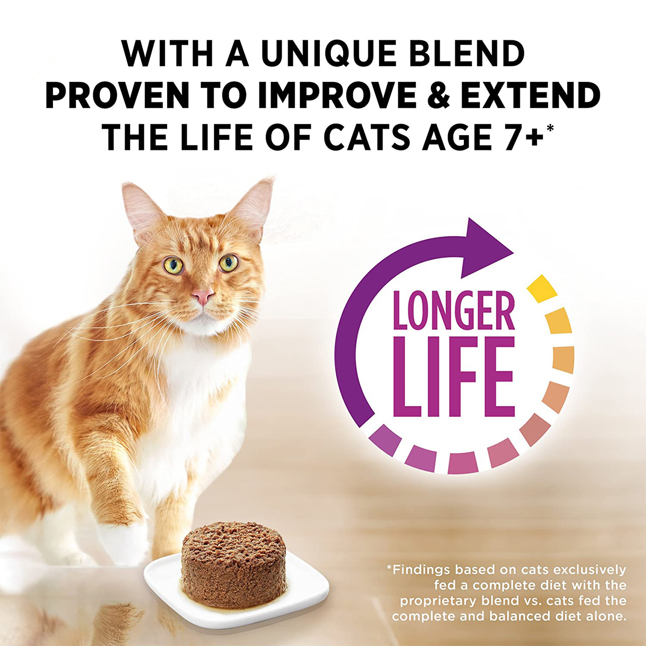 purina pro plan prime plus wet cat food