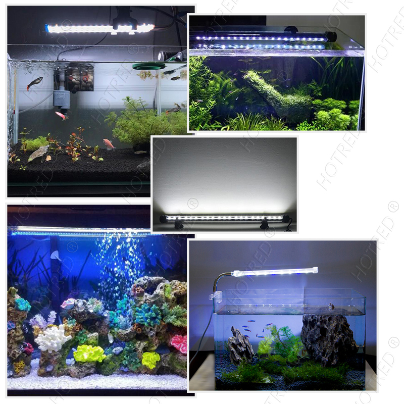 %E3%80%90Folio%20&%20Light%E3%80%915pcs%203w%209w%2012w%2018w21w30w%2036w%20Warm%20Natural%20Cool%20White%20Blue%20Red%20Green%20Full%20Spectrum%20Led%20Chip%20Pcb%20Plate%20Board%20Panel%20For%20Tube%20Light%20-%20Image%208