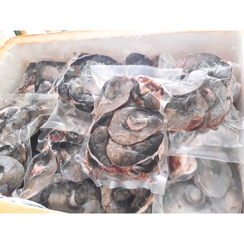 Mắt cá ngừ đại dương - Đèn pha đại dương - túi 1kg (giao tphcm)