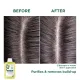 KLORANE Citrus Pulp Shampoo 400ml (Oily Scalp). 