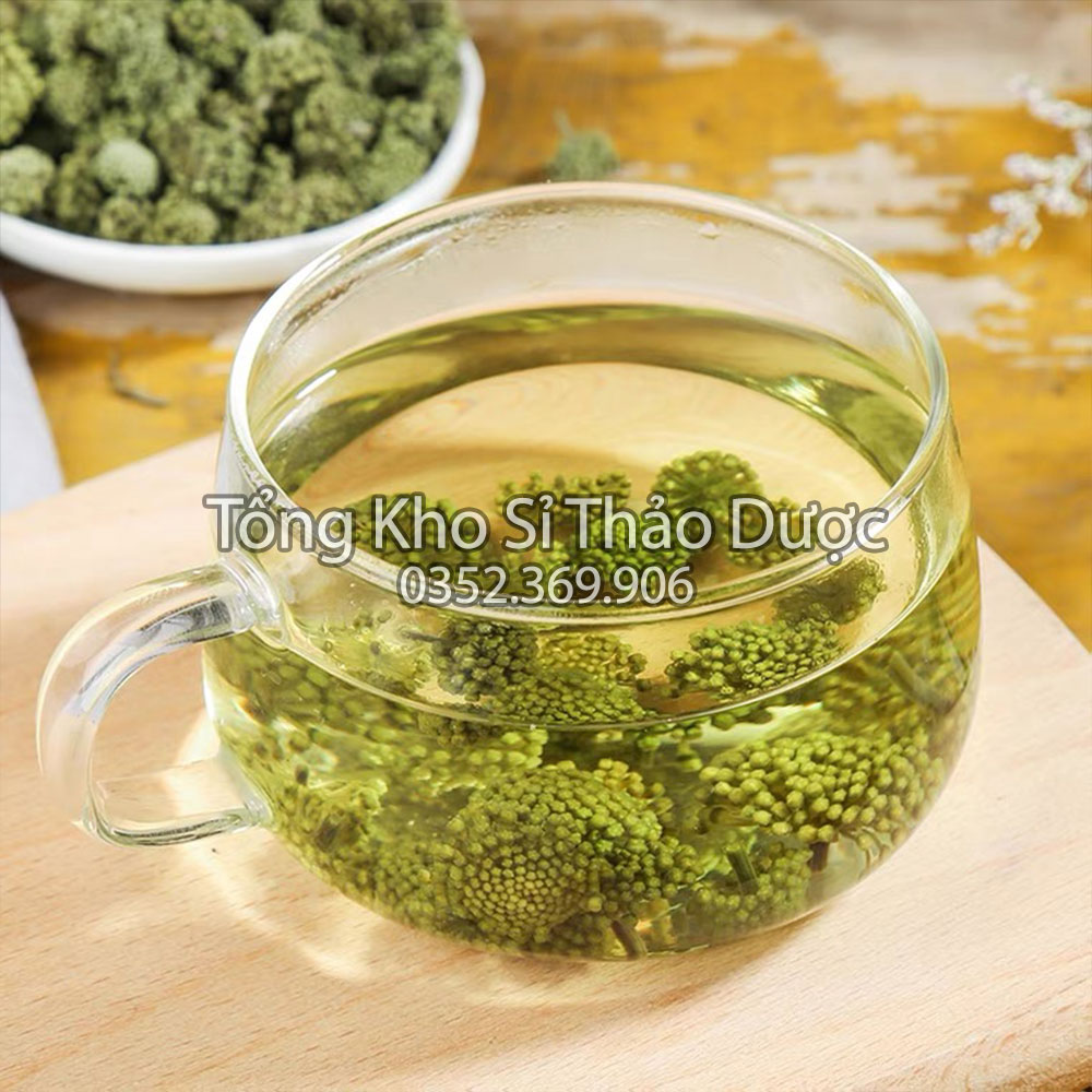 Nụ hoa tam thất không cuống 100g (Nụ xanh, đẹp)