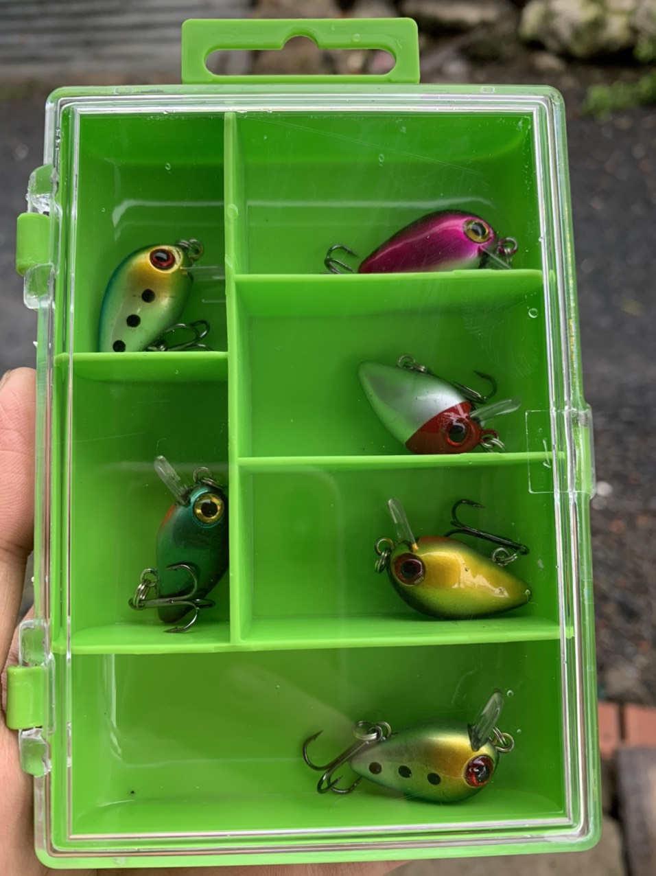 Set mồi ruồi giả câu lure