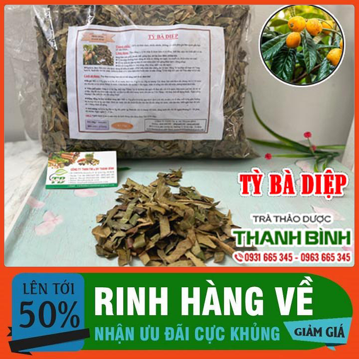 Tỳ bà diệp 100g - hàng công ty thảo dược thanh bình