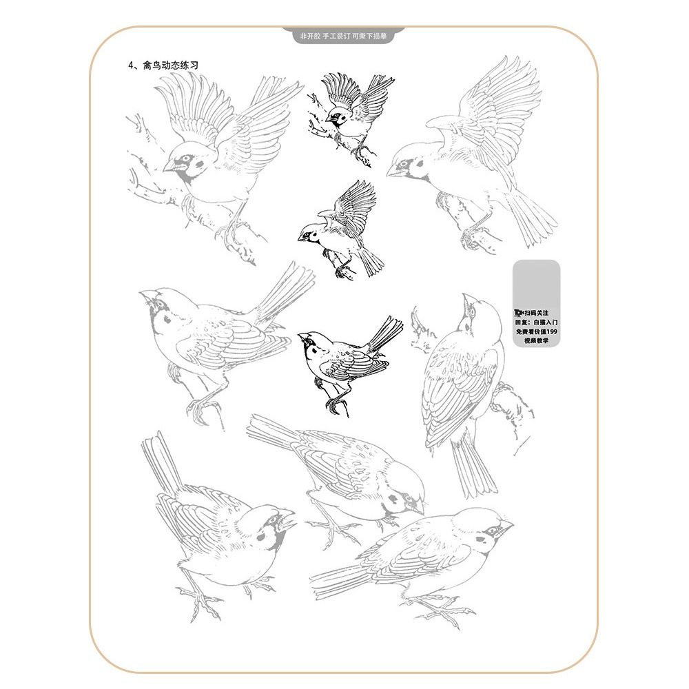 PROVEN Characters Hand Painted Tutorial Book Hand Drawn Sketching Tracing Sketch Book Professional Chinese Drawing Copy Book Art Class