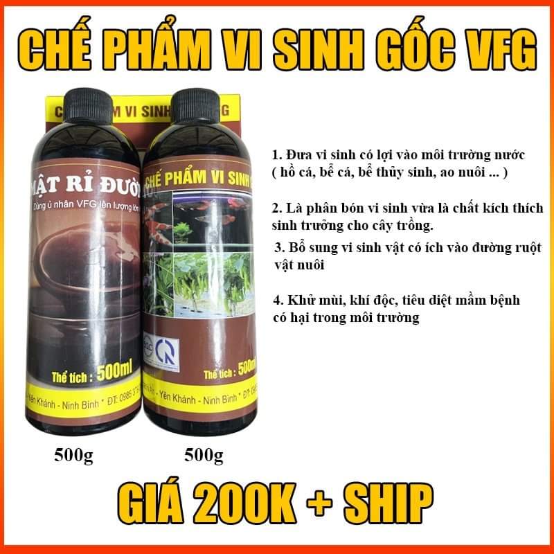 CHẾ PHẨM VI SINH GỐC VFG