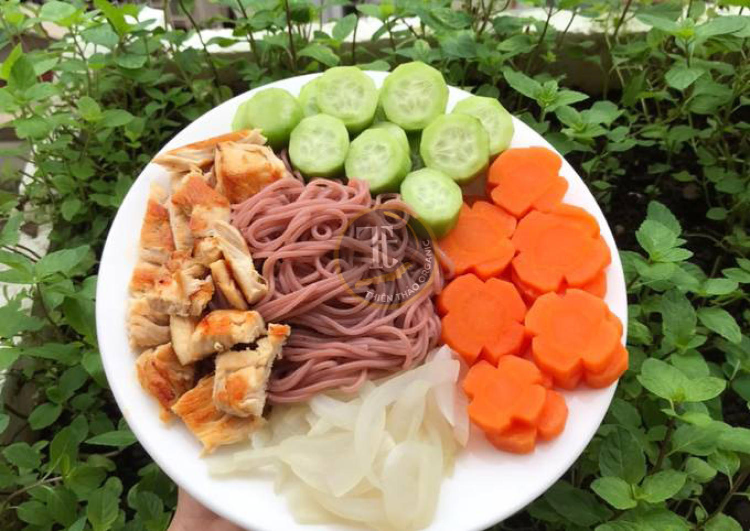 Bún gạo lức đỏ thực dưỡng 500gr [100% từ gạo lức đỏ] HCM