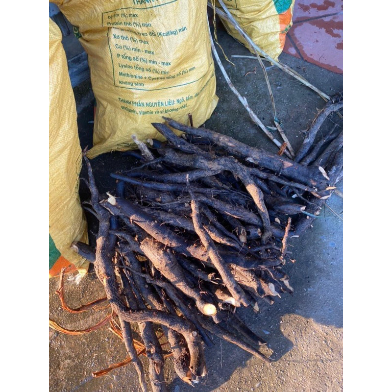 Sâm Béo Đen tươi, khô (Sâm Bảo Ngọc, Sâm Một Rễ, Sâm Đất) 1kg Hút Chân Không