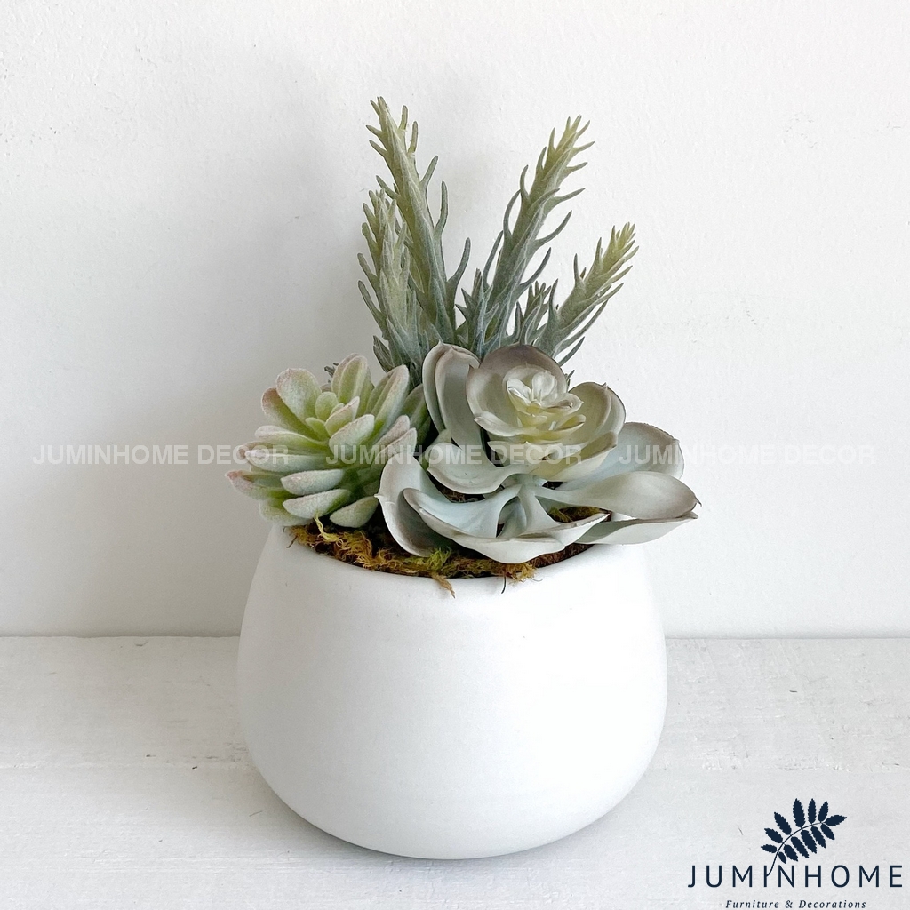 Cây giả Decor - Chậu sen đá hạt dẻ mini Decor trang trí để bàn