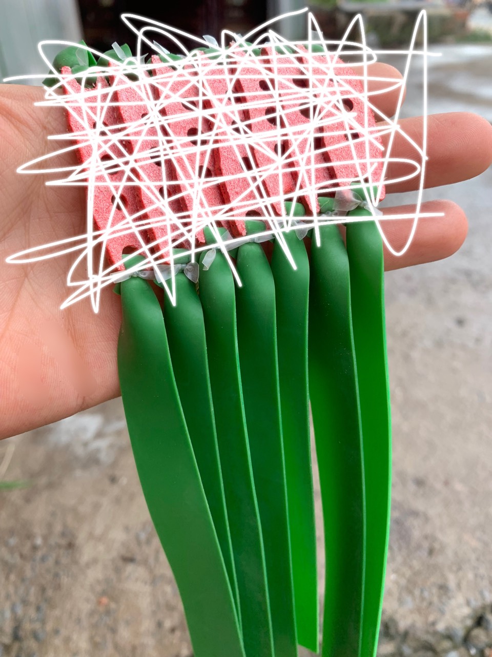 DÂY QUỶ XANH BUỘC SẴN